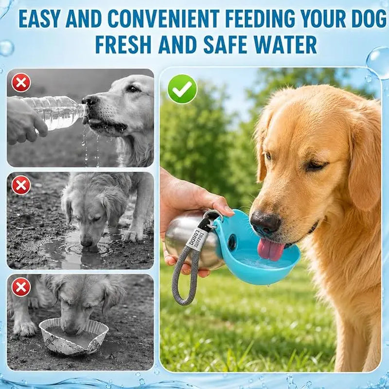 Stainless Steel 10oz Portable Dog Water Bottle with Foldable Silicone Bowl - 2-in-1 Water and Food Dispenser for Dogs on the Go