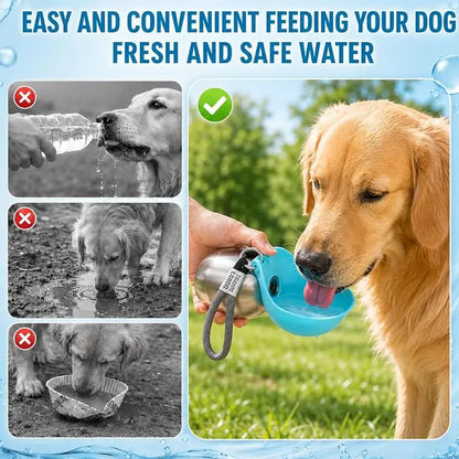 Stainless Steel 10oz Portable Dog Water Bottle with Foldable Silicone Bowl - 2-in-1 Water and Food Dispenser for Dogs on the Go