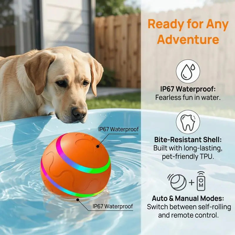 Interactive Dog Toys: Dog Ball [Newly Upgraded] - Durable, Motion Activated Automatic Rolling Ball Toys for Small, Medium, and Large Dogs, USB Rechargeable Springtok