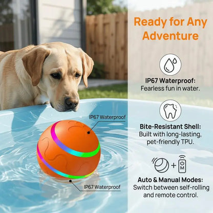 Interactive Dog Toys: Dog Ball [Newly Upgraded] - Durable, Motion Activated Automatic Rolling Ball Toys for Small, Medium, and Large Dogs, USB Rechargeable Springtok