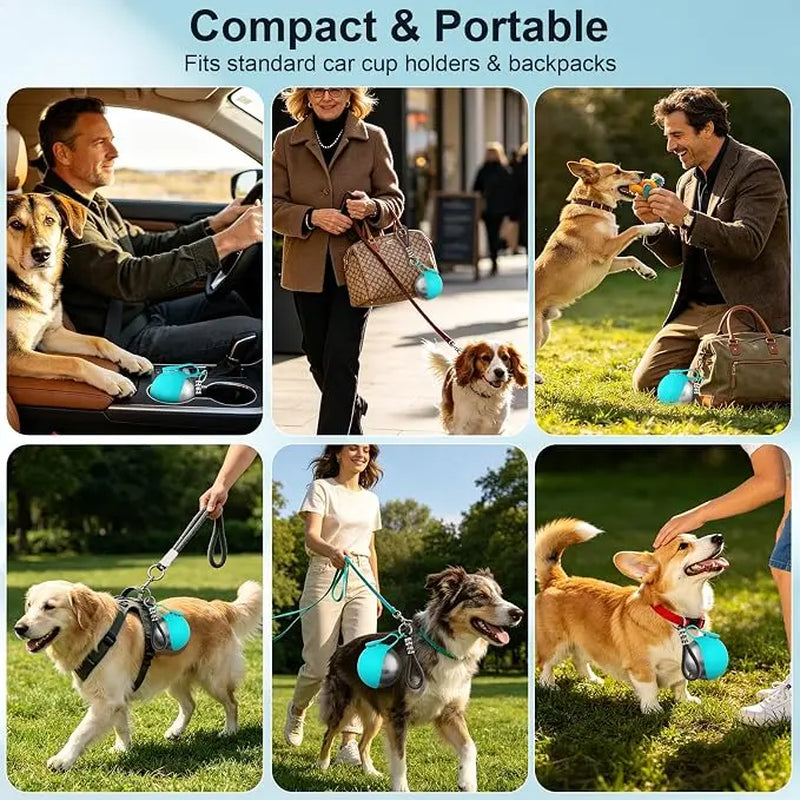 Stainless Steel 10oz Portable Dog Water Bottle with Foldable Silicone Bowl - 2-in-1 Water and Food Dispenser for Dogs on the Go