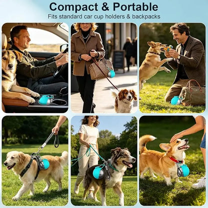 Stainless Steel 10oz Portable Dog Water Bottle with Foldable Silicone Bowl - 2-in-1 Water and Food Dispenser for Dogs on the Go