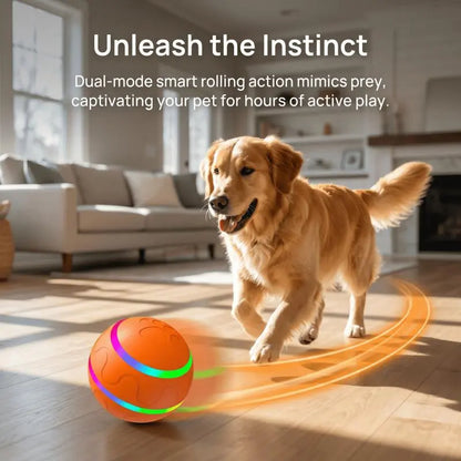 Interactive Dog Toys: Dog Ball [Newly Upgraded] - Durable, Motion Activated Automatic Rolling Ball Toys for Small, Medium, and Large Dogs, USB Rechargeable Springtok